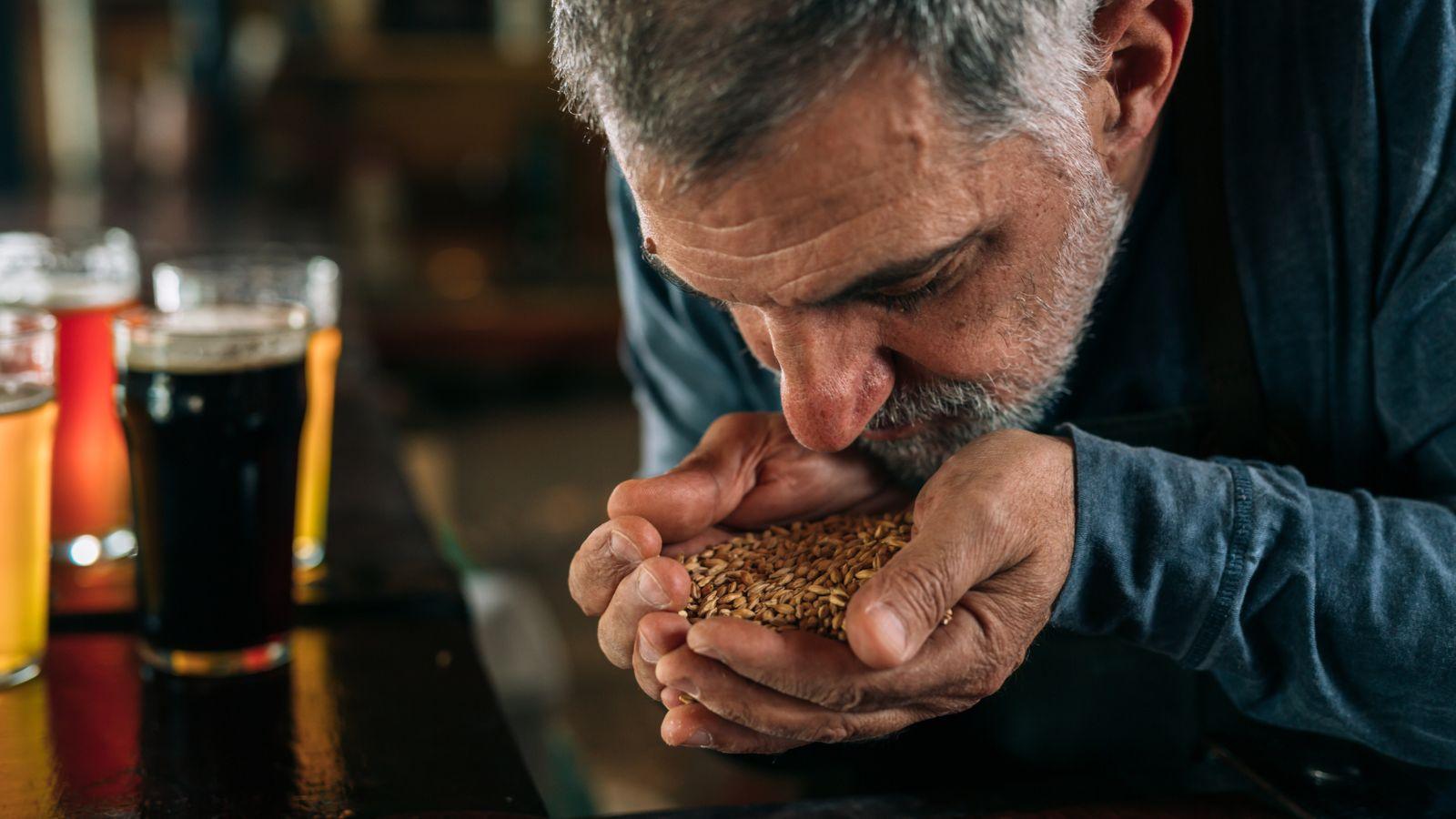 Craft Brewery Insurance Company In Illinois