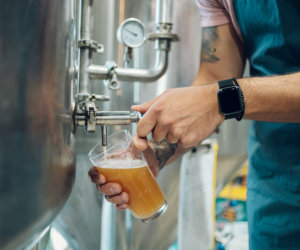 Craft Brewery Staff Getting Beer Sample For Testing